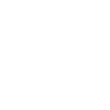 cropped-logo-icon.png